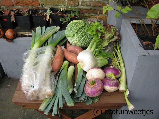 Buitenfrigo34971423762300.jpg