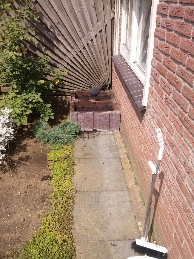 CAM0052817931376678144.jpg