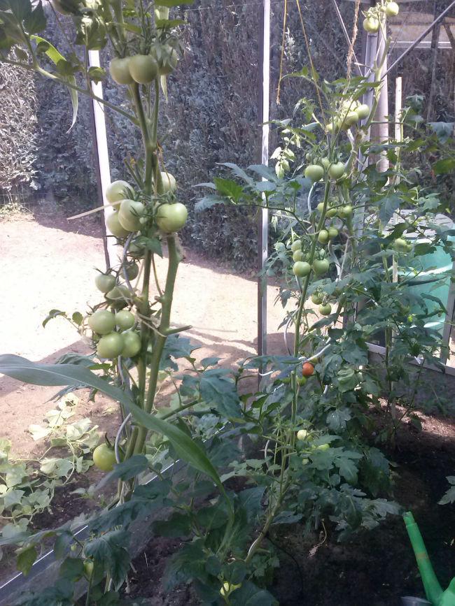 CAM0065855971376678179.jpg