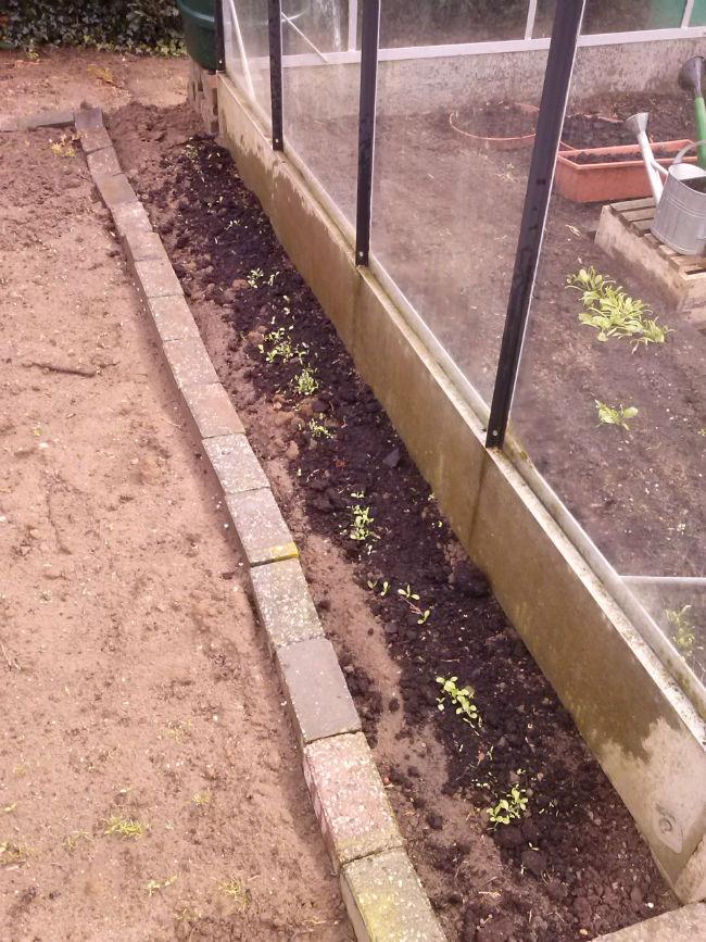 CAM0153167251397222831.jpg