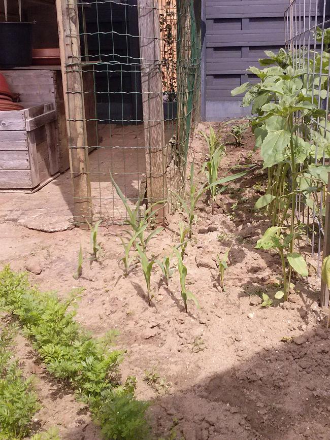 CAM0175229251401028576.jpg