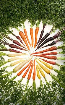 Carrotsofmanycolors92371403159216.jpg