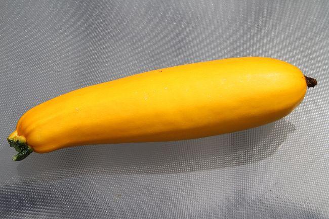 Courgette18661565115911.jpg