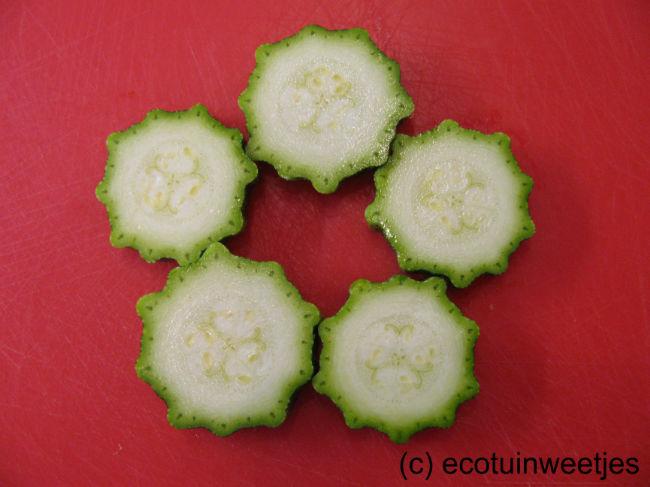CourgettteCostataRomanesco224861409160200.jpg