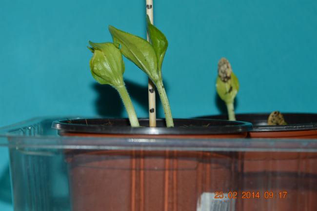 DSC000758091393317176.JPG