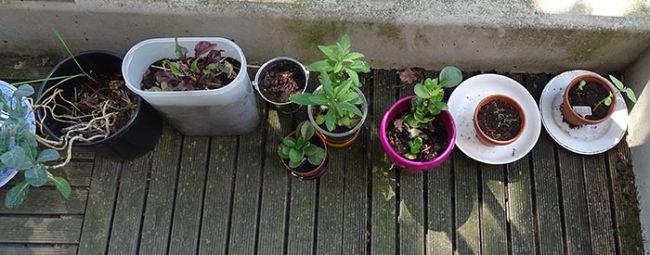 DSC0014397161526589117.JPG