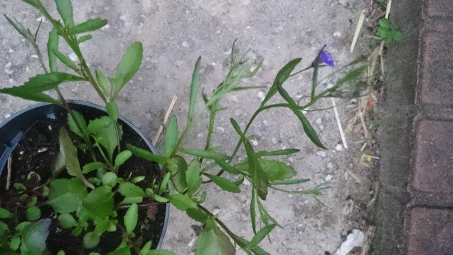 DSC002244551464812230.JPG