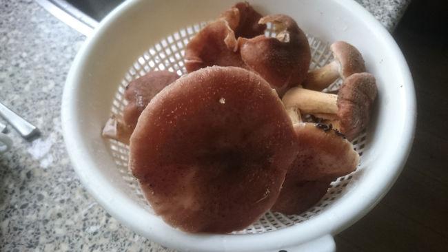 DSC003615721445106545.jpg
