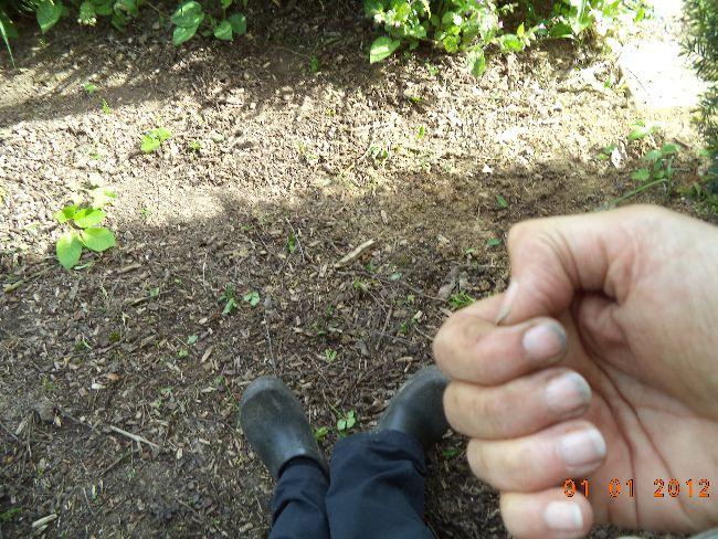 DSC0040667711524833533.JPG