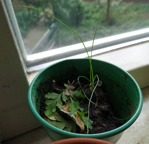 DSC0063986061559846539.JPG