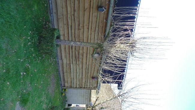 DSC0115830631490134610.JPG