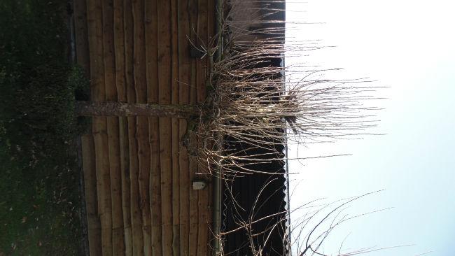 DSC0116331371490134656.JPG