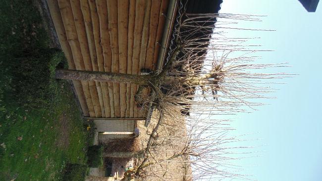DSC0116439111490134666.JPG