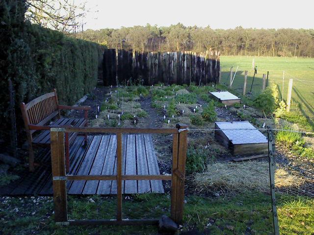 DSC0162656671403209880.JPG