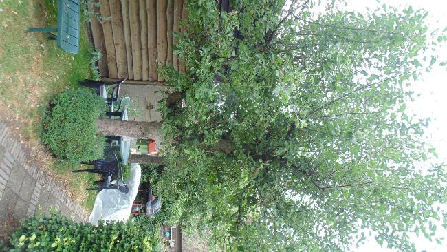DSC0191652951498157113.JPG