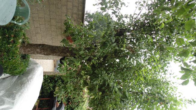DSC0191826271498157135.JPG