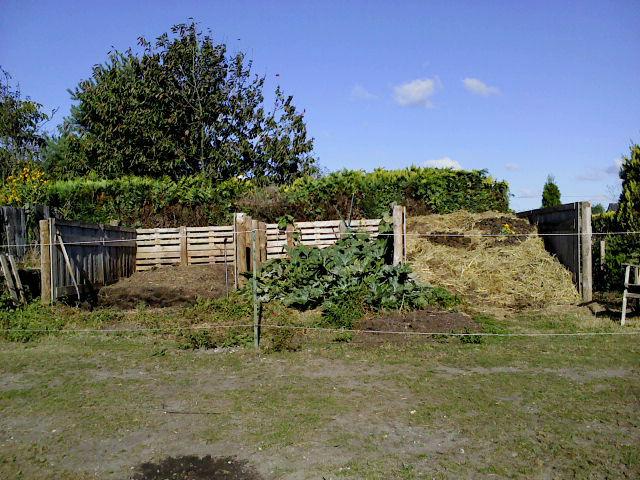 DSC0329649871480413124.JPG