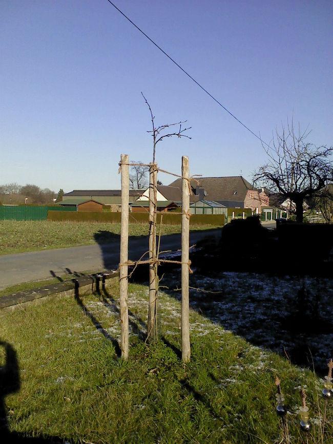 DSC0355450961484832561.JPG