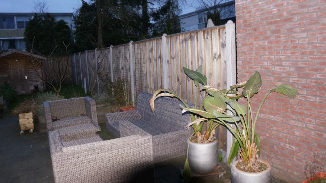 DSC0366178781395085779.JPG