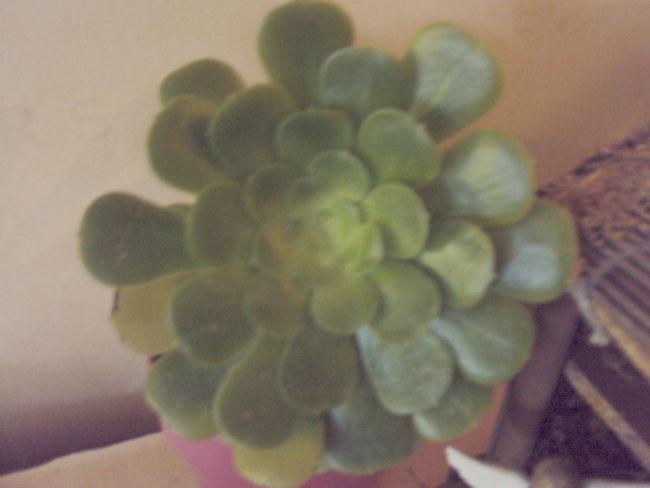 DSC0498712671388330780.jpg