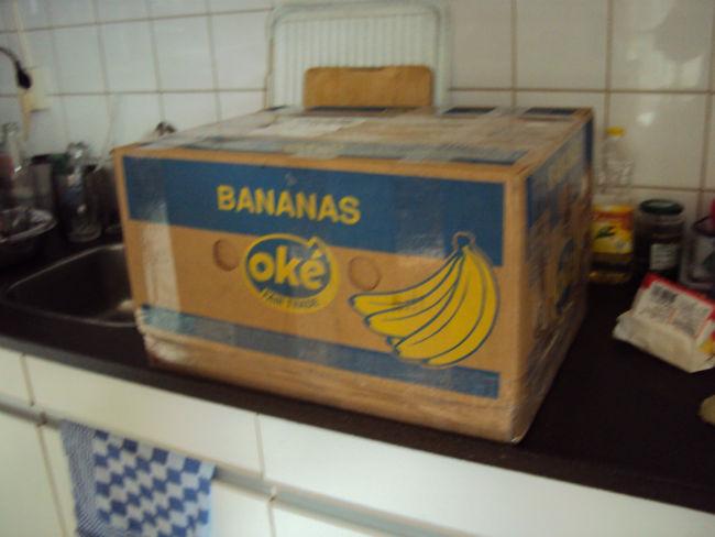 DSC0507869271392378554.JPG