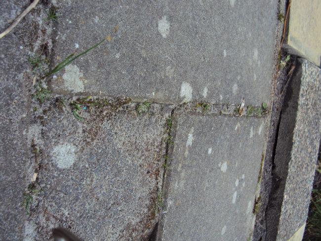 DSC0523438611397134661.JPG