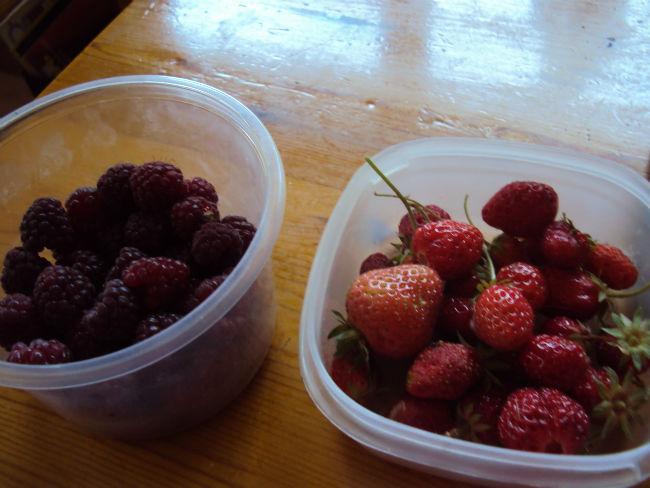DSC0545979281405348676.JPG