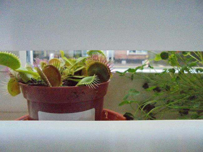 DSC0572682661410630766.JPG