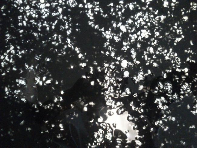 DSC065738091505596244.JPG