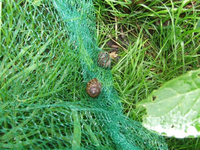 DSCF539145651466424654.JPG