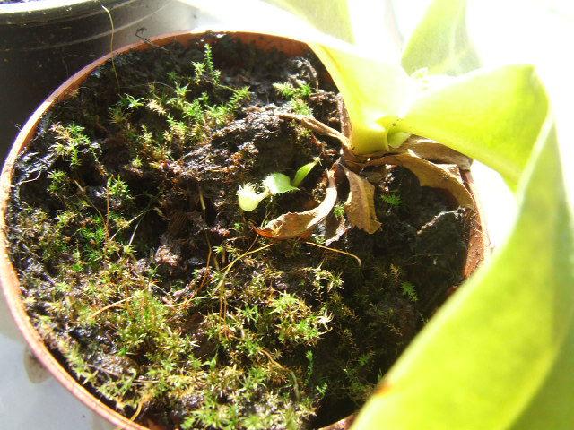 DSCF609293191487500874.JPG