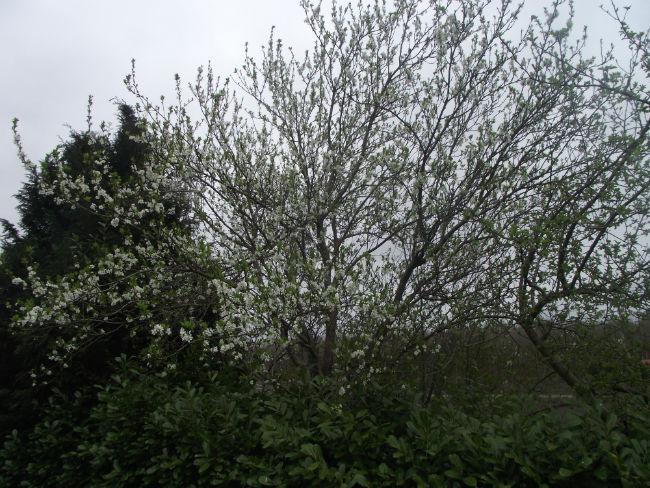 DSCF928742671429691846.JPG