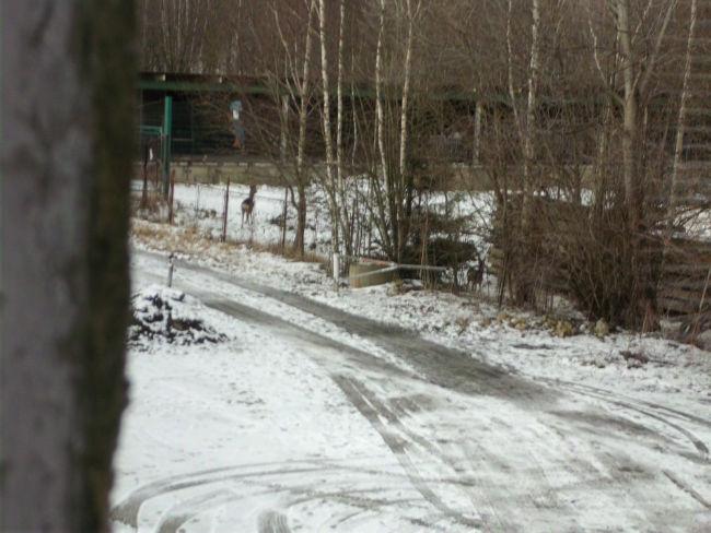 DSCI016040251425019321.JPG