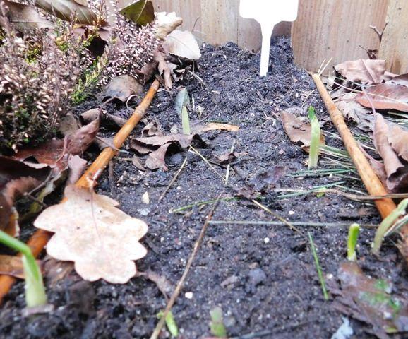 DSCN001785181481295908.JPG