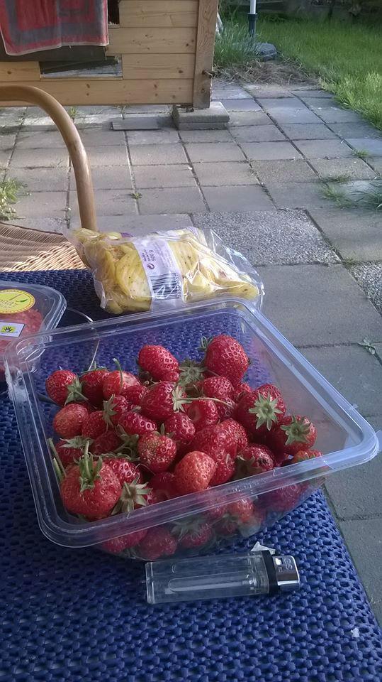 De-eerste-aardbeien46361402562894.jpg