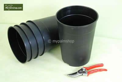 Deep20palm20pot20round207020litreWP1380---kopie18611485865239.jpg