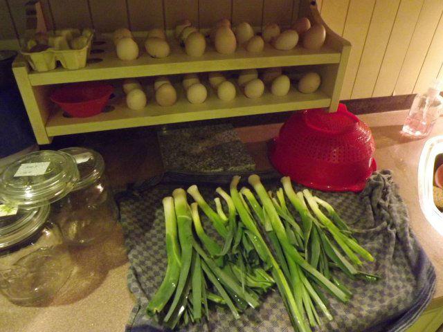 Dscf018895841390720636.jpg