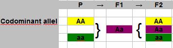 F1-Codominant60241391010104.png
