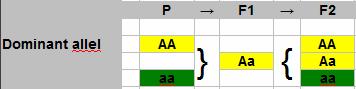 F1-Dominant31221391010105.png