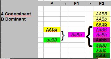 F1-TweeGenen55071391010105.png