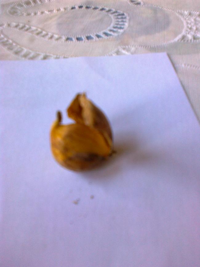 Foto012526531410438755.jpg