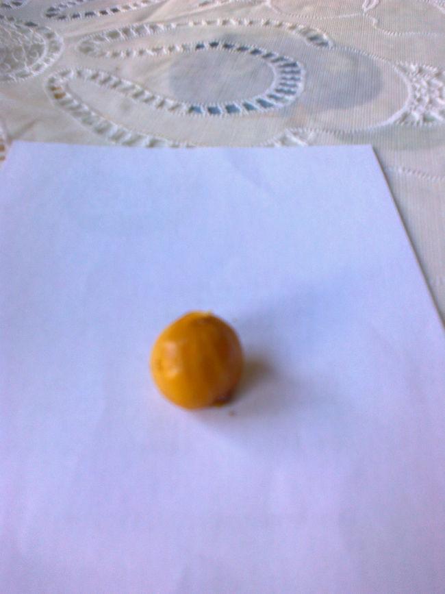Foto012670341410438768.jpg