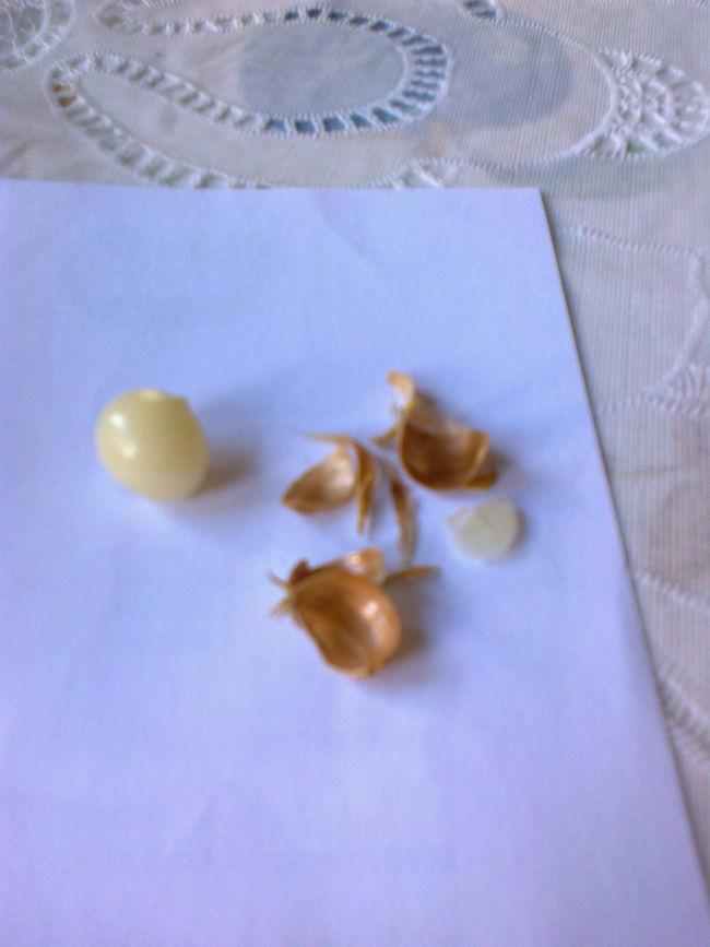 Foto012752091410438782.jpg