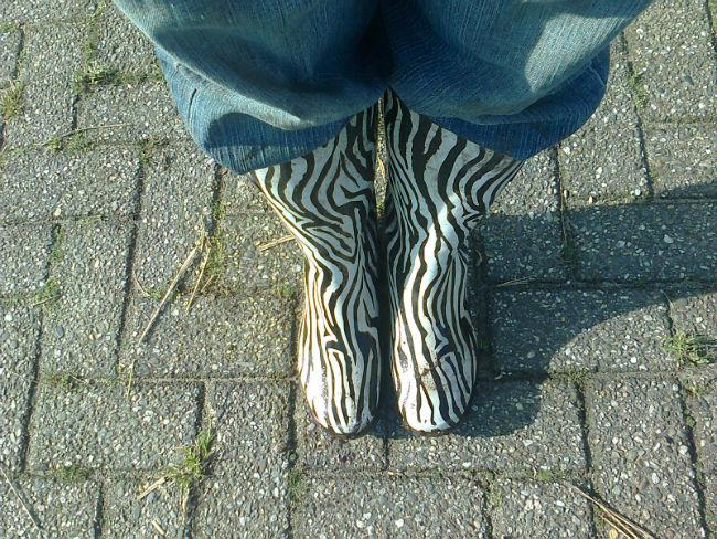 Foto374722931401477859.jpg