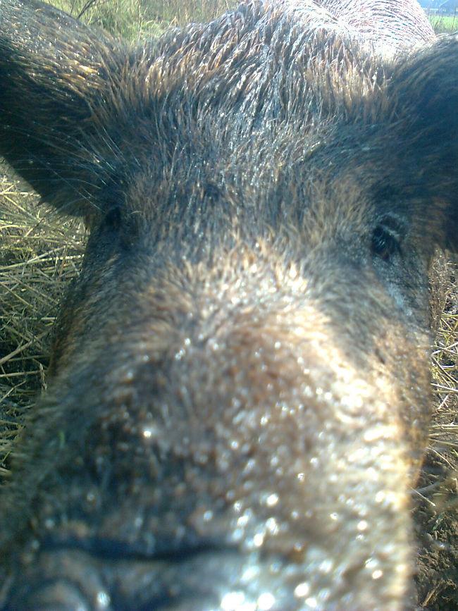 Foto449142371412502582.jpg