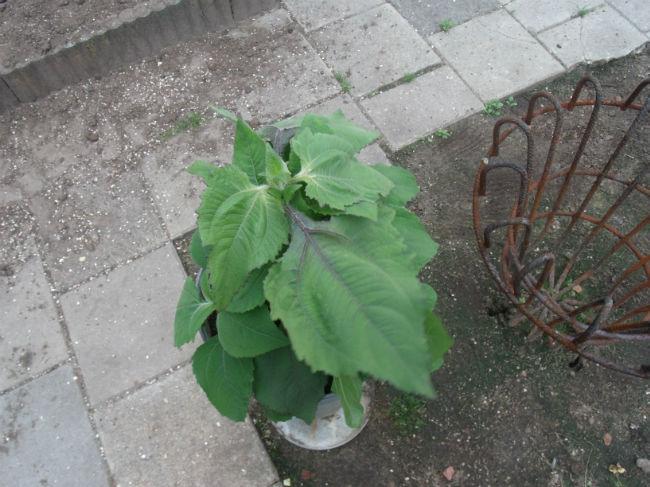 GEDC107157991405501033.JPG
