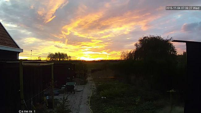 Henks-tuincam-20151104-073943090079291446622770.jpg