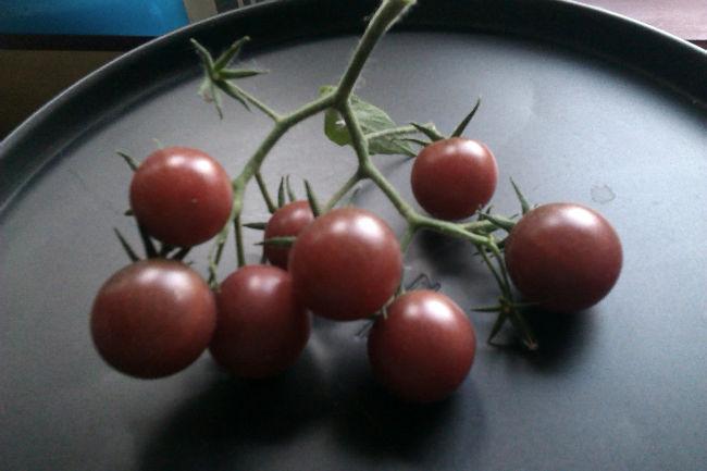 IMAG023572571376587068.jpg