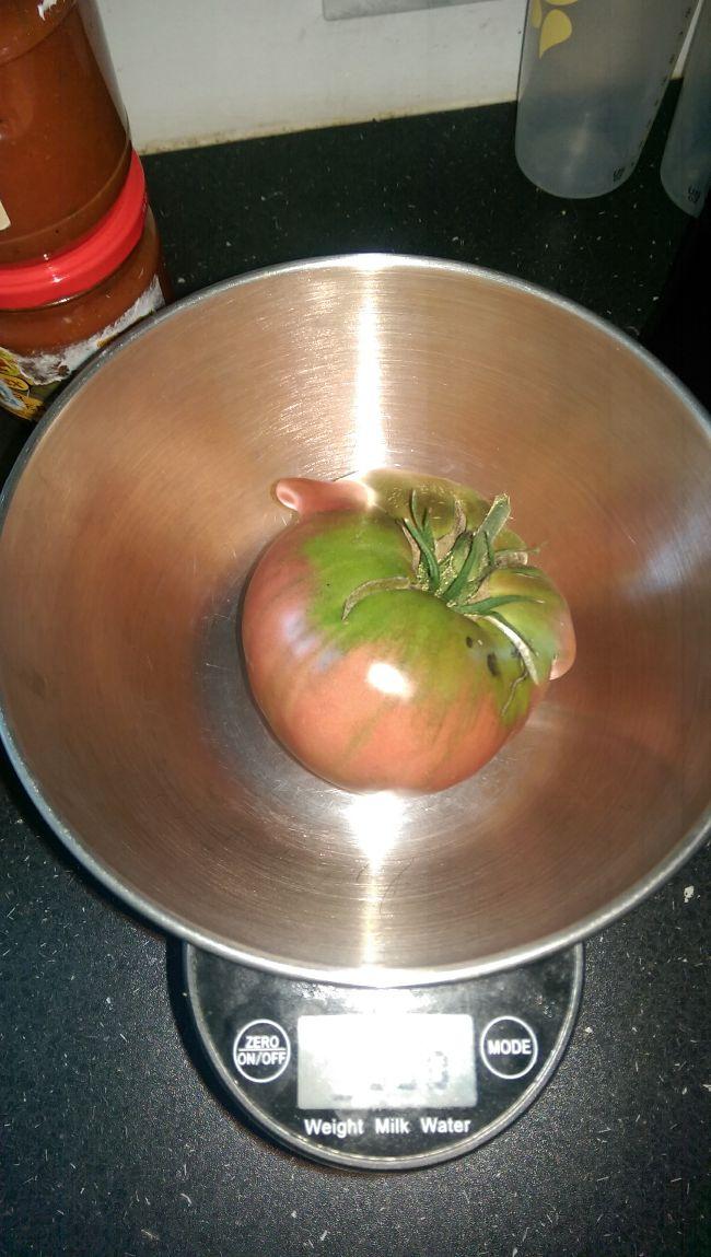 IMAG086317051503924429.jpg