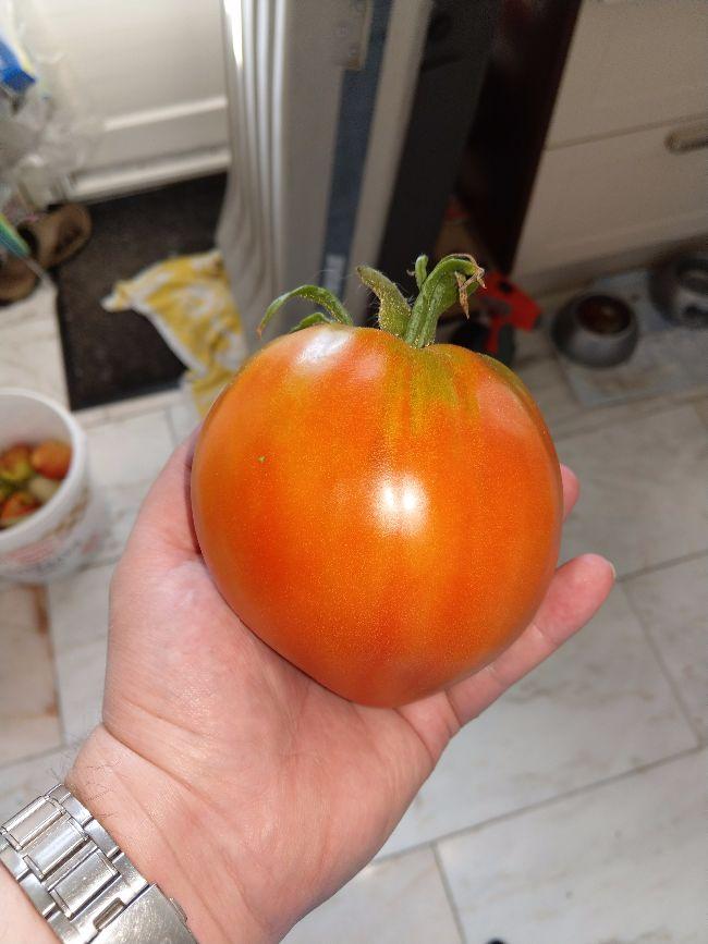 IMAG104770811502616449.jpg